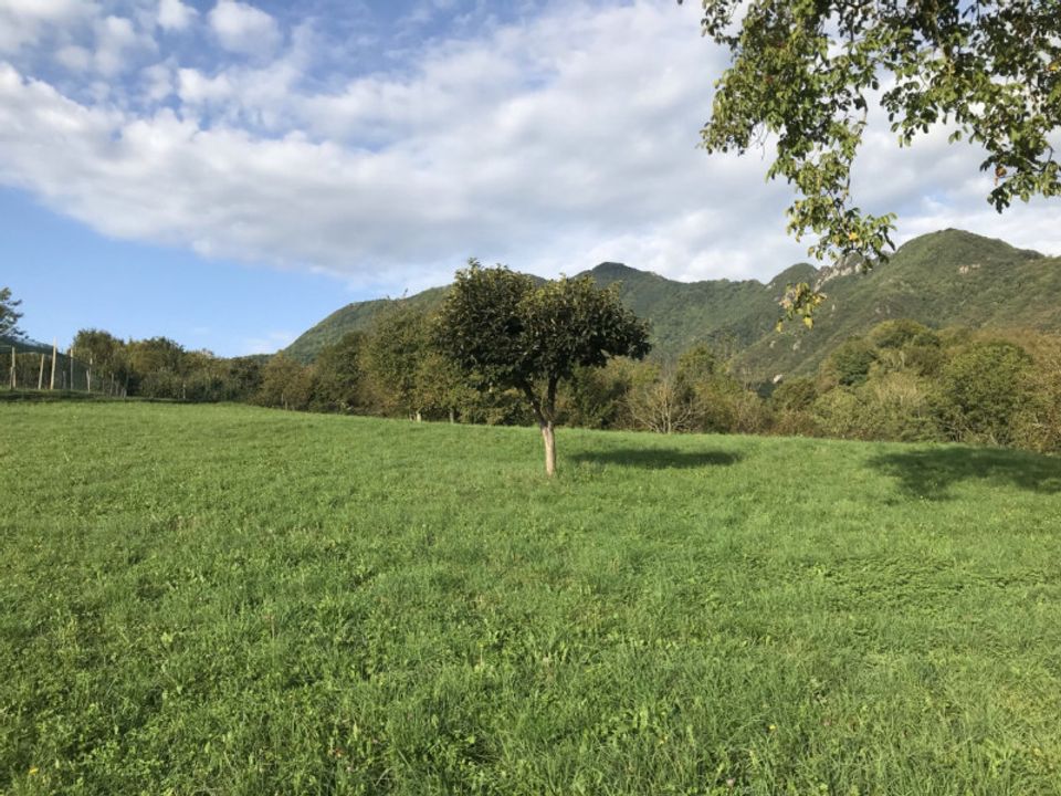 Helårsgrund i Valdagno, Vicenza - foto 1