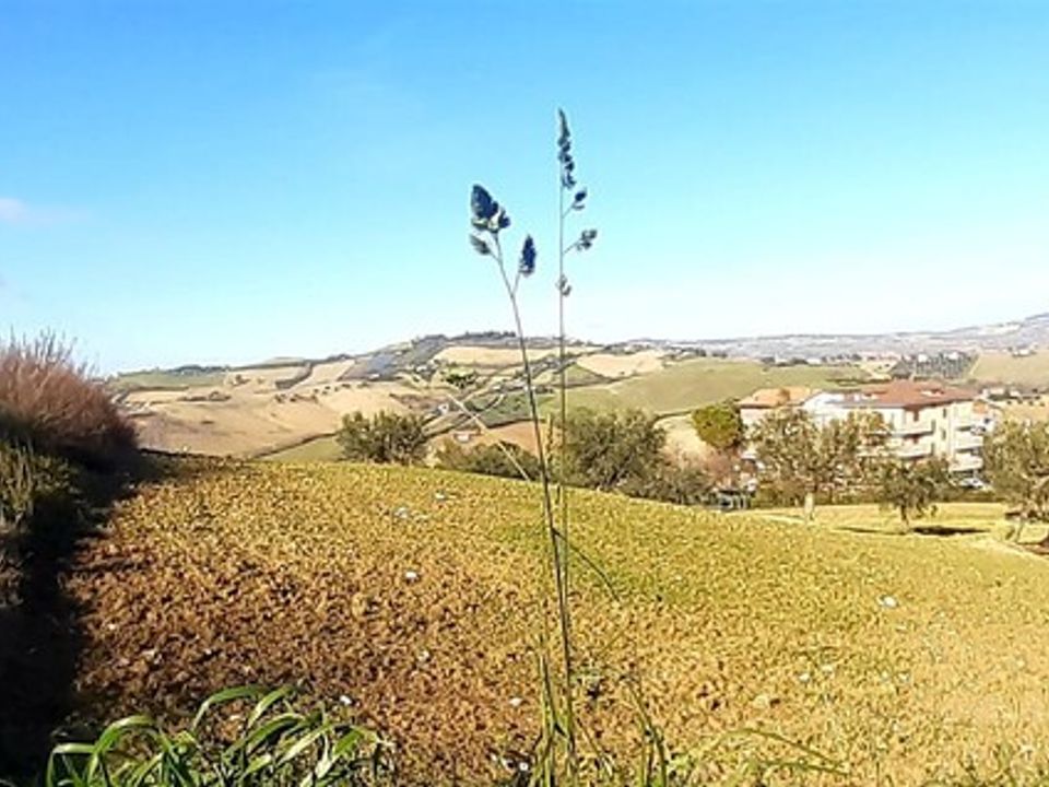 Helårsgrund i Montegranaro, Fermo - foto 4