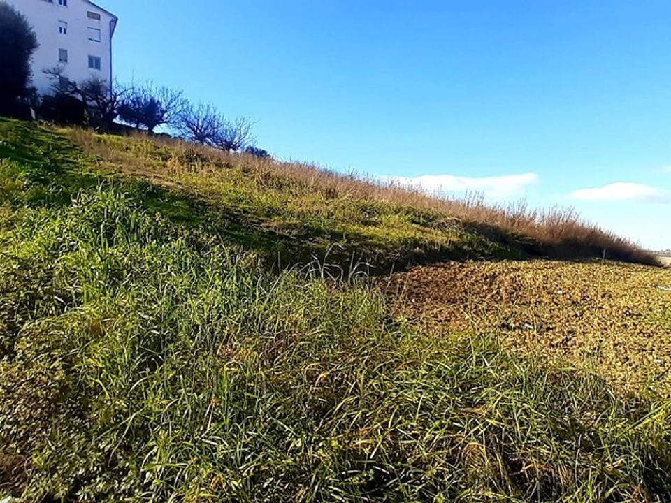 Helårsgrund i Montegranaro, Fermo - foto 5