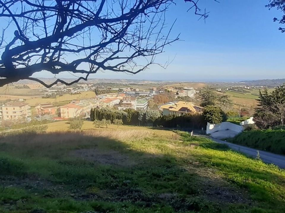 Terra a Montegranaro, Fermo - foto 3