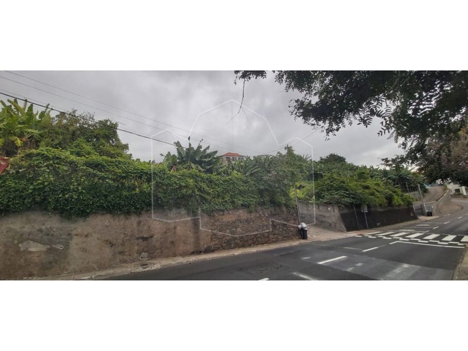 Landejendom i Sao Roque, Madeira - foto 3