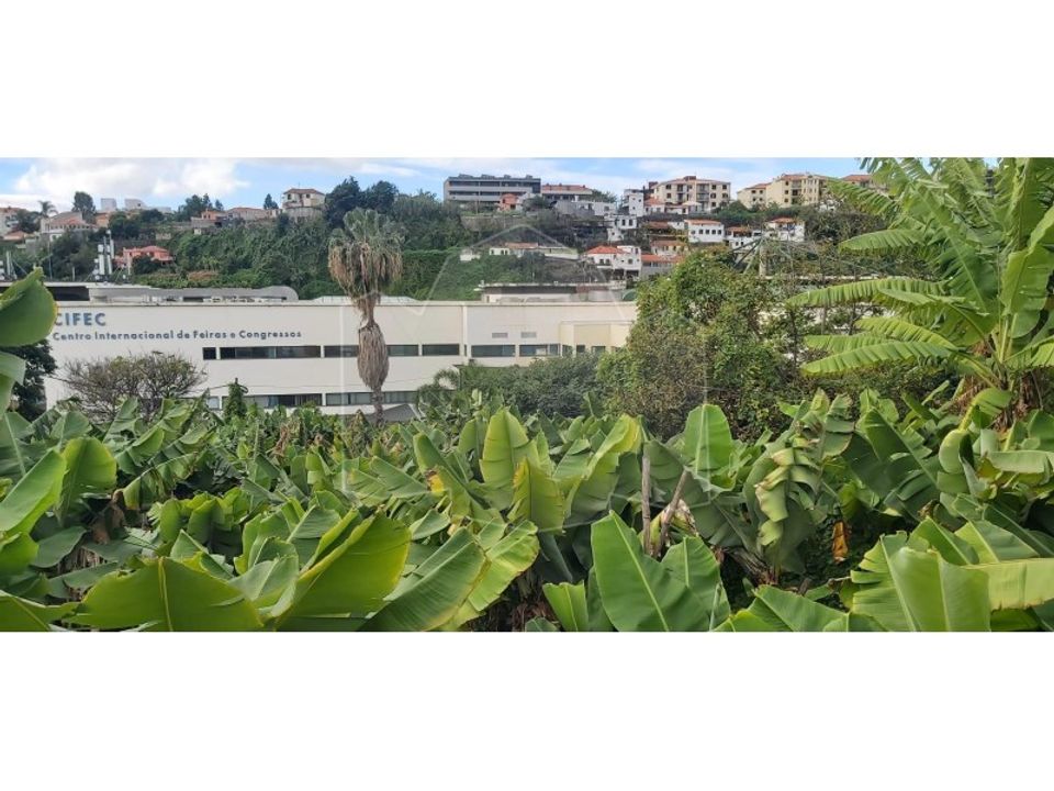 Landejendom i Sao Roque, Madeira - foto 4