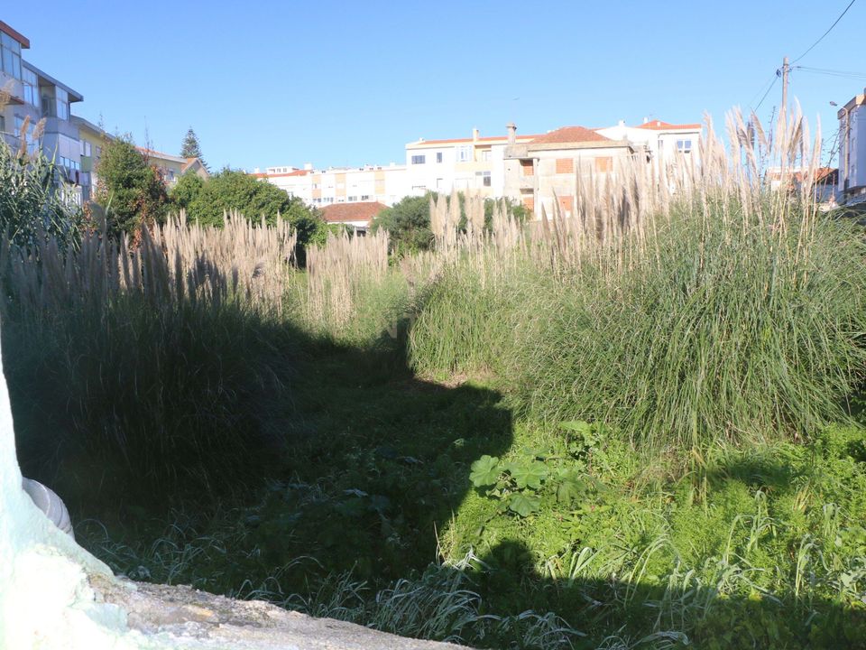 Helårsgrund i Sintra, Lisbon - foto 5