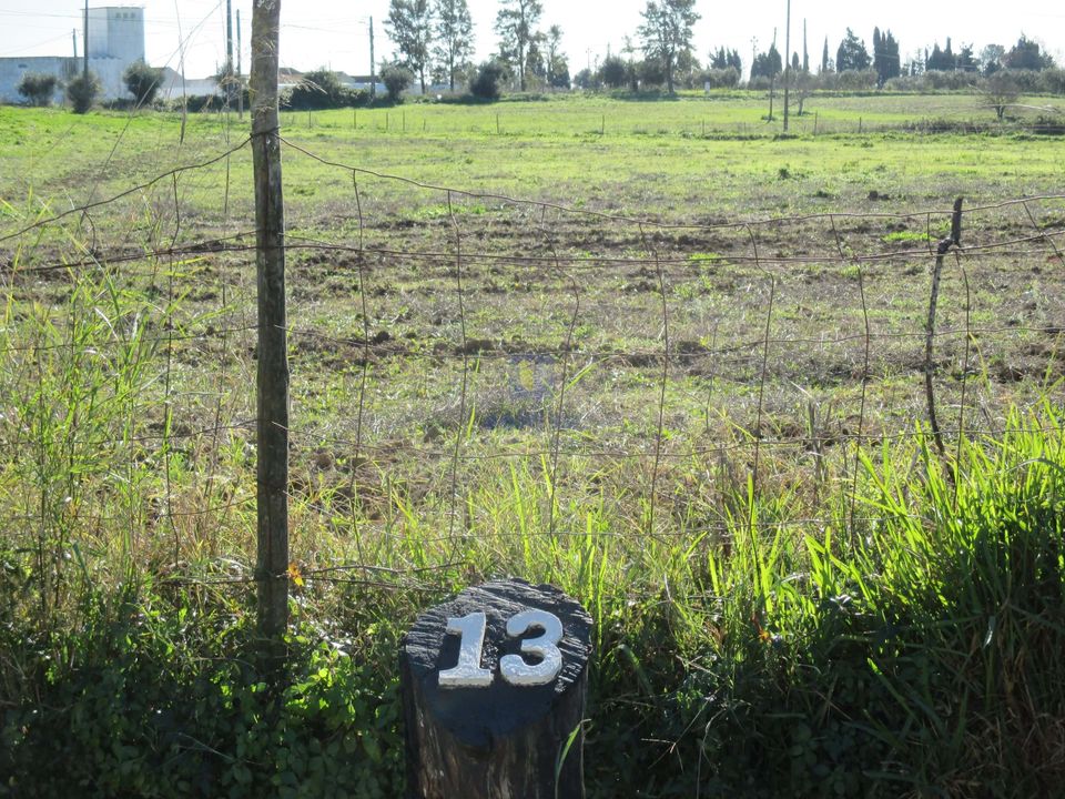 Grond in Assentiz, Santarem - foto 4