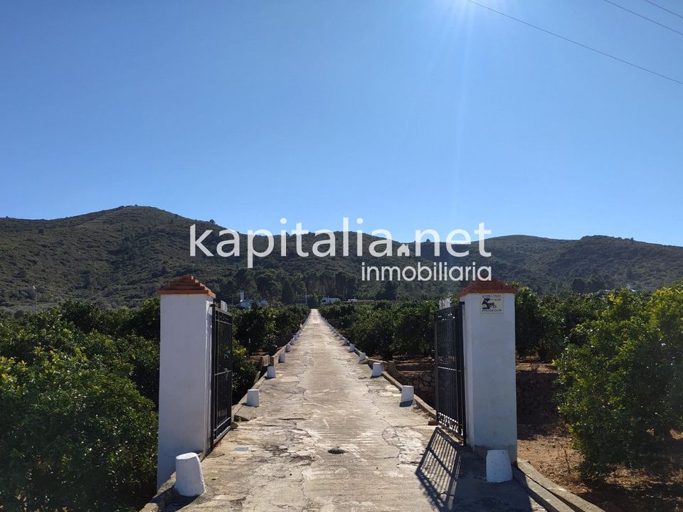 Finca a Montesa, Valencia - foto 4