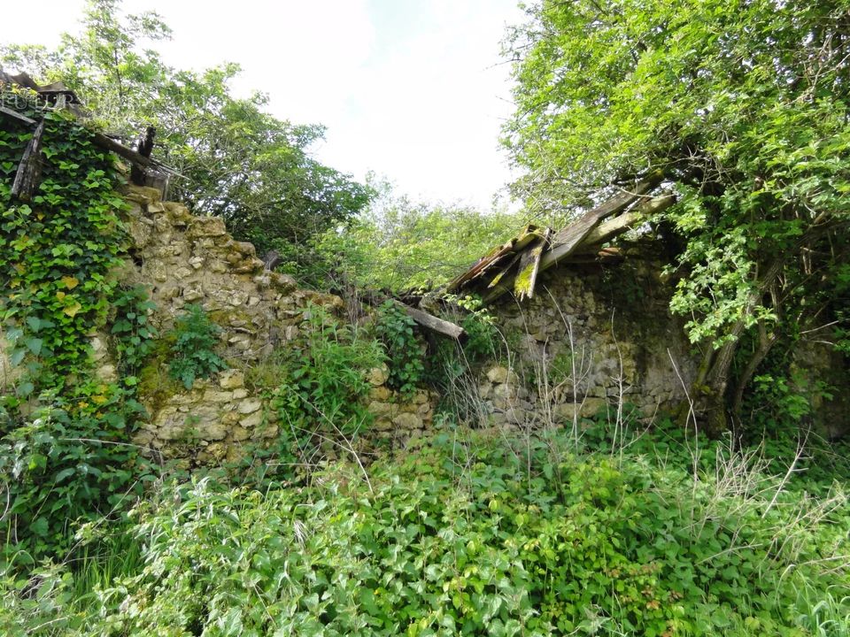 Villa i Champeaux-Et-La-Chapelle-Pommier, Dordogne - foto 3