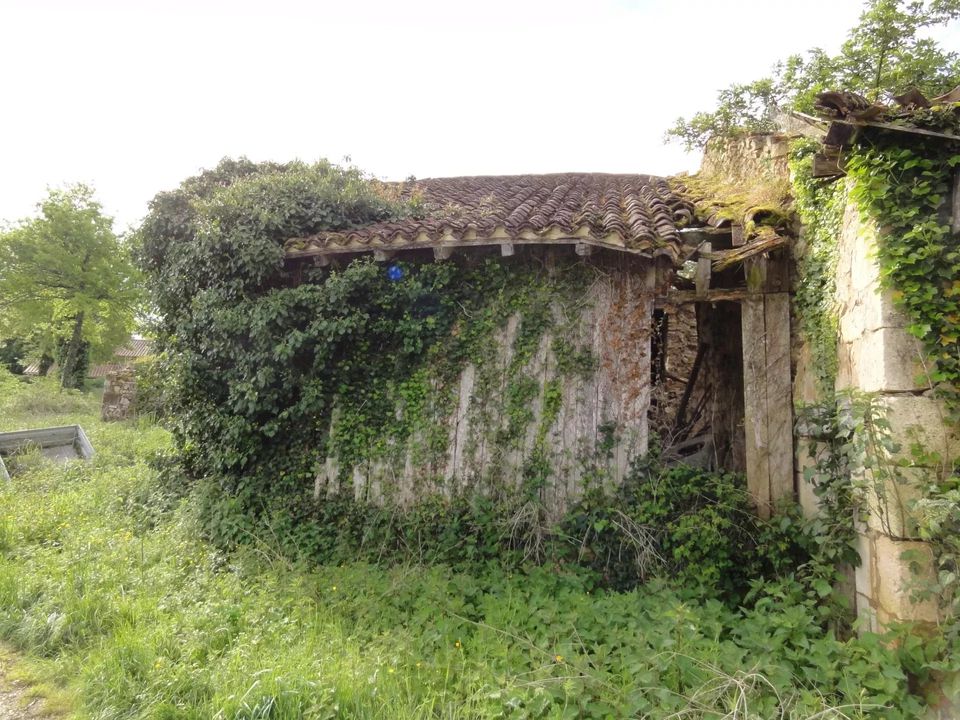 Villa i Champeaux-Et-La-Chapelle-Pommier, Dordogne - foto 4