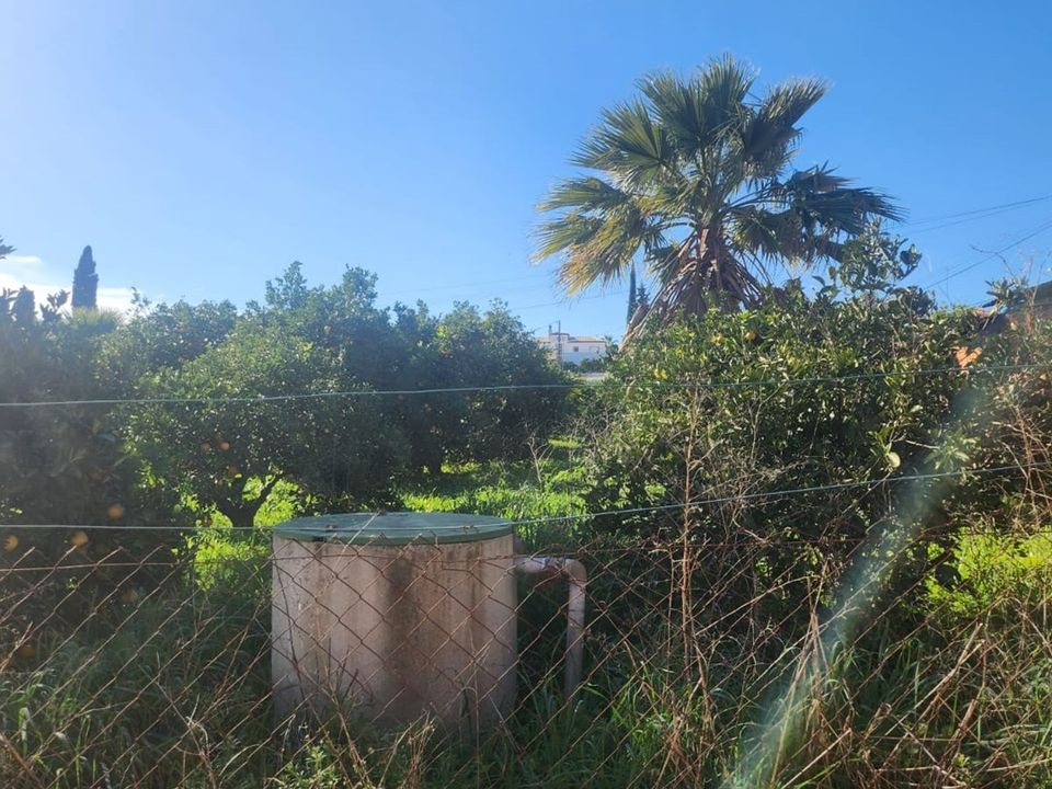 Helårsgrund i Silves, Faro - foto 4