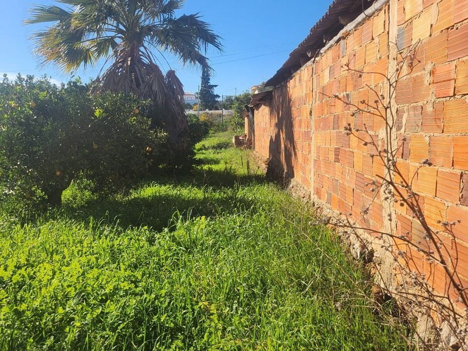 Helårsgrund i Silves, Faro - foto 5