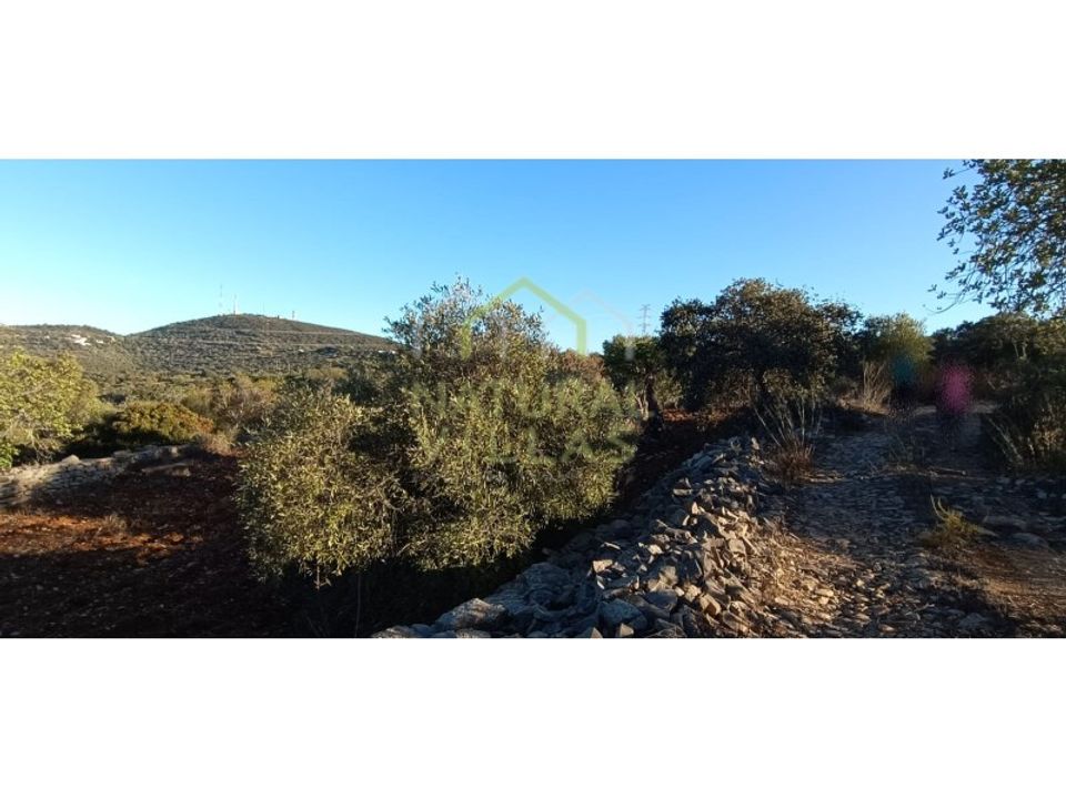 Helårsgrund i Estoi, Faro - foto 4