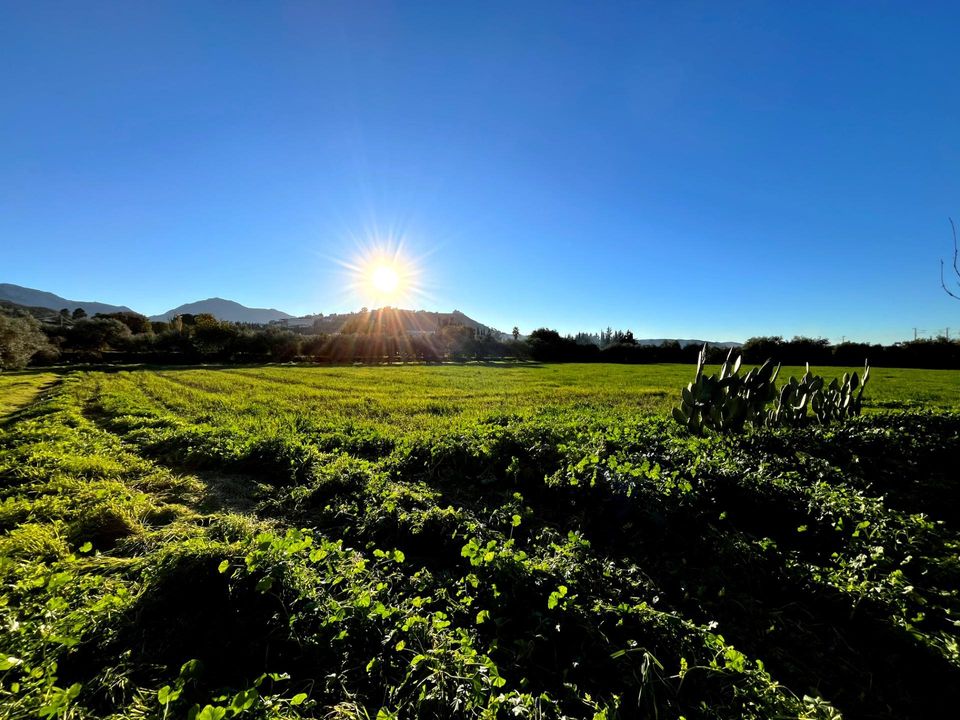 Landejendom i Antequera, Malaga - foto 4