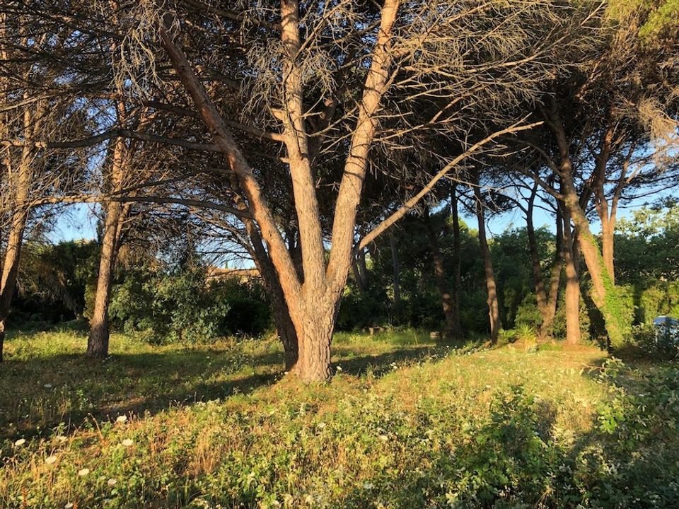 Grond in Saint-Tropez, Var - foto 3