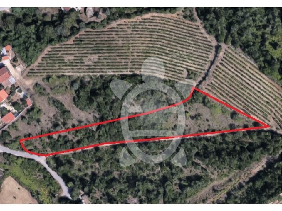 Terreno en Condeixa-a-Nova, Coimbra - foto 1