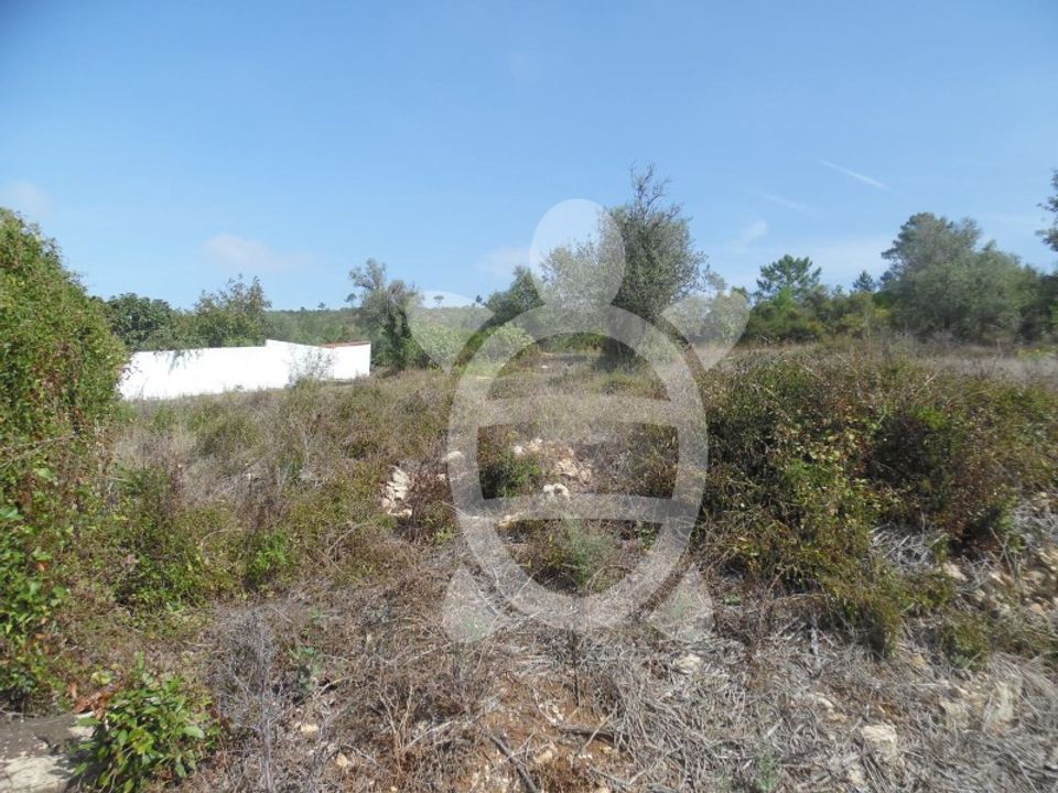 Terreno en Condeixa-a-Nova, Coimbra - foto 4