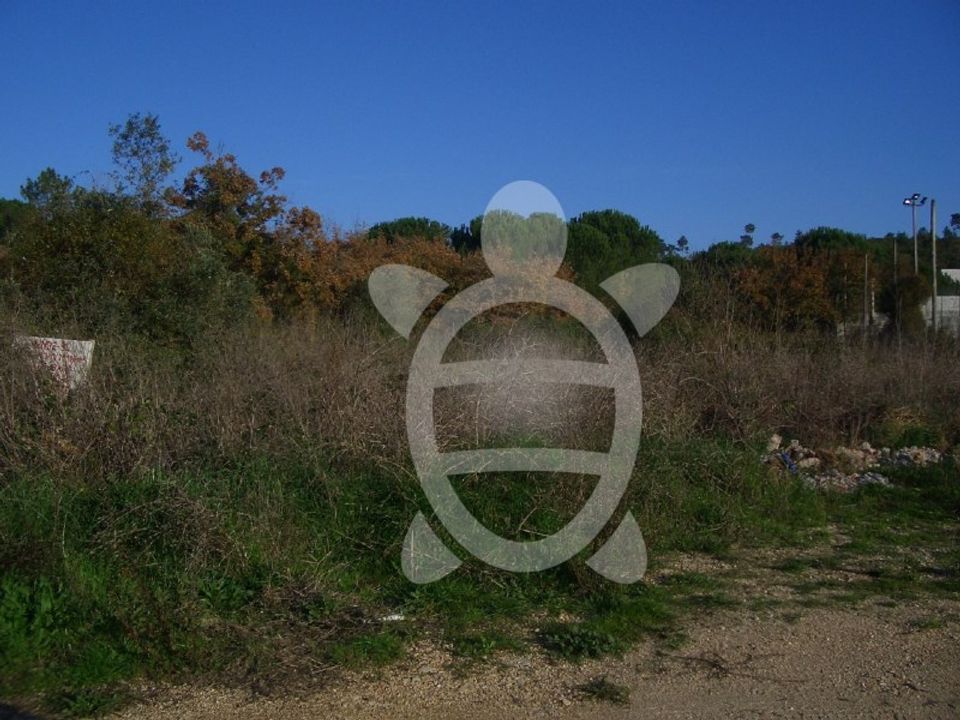 Terra em Cernache, Coimbra - foto 2
