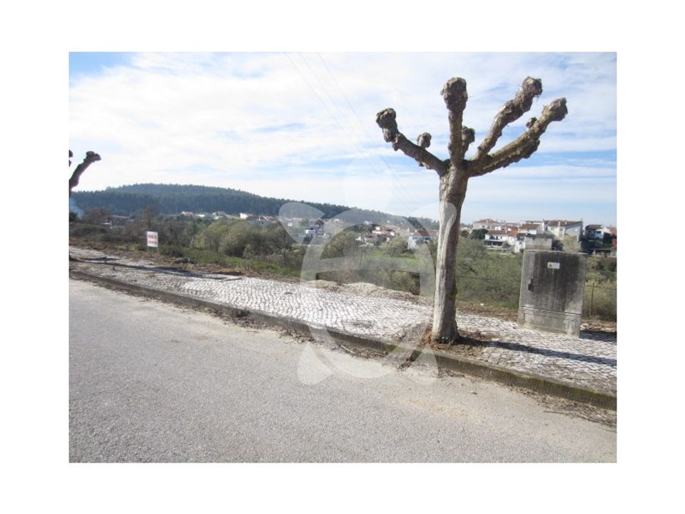 Helårsgrund i Soure, Coimbra - foto 3