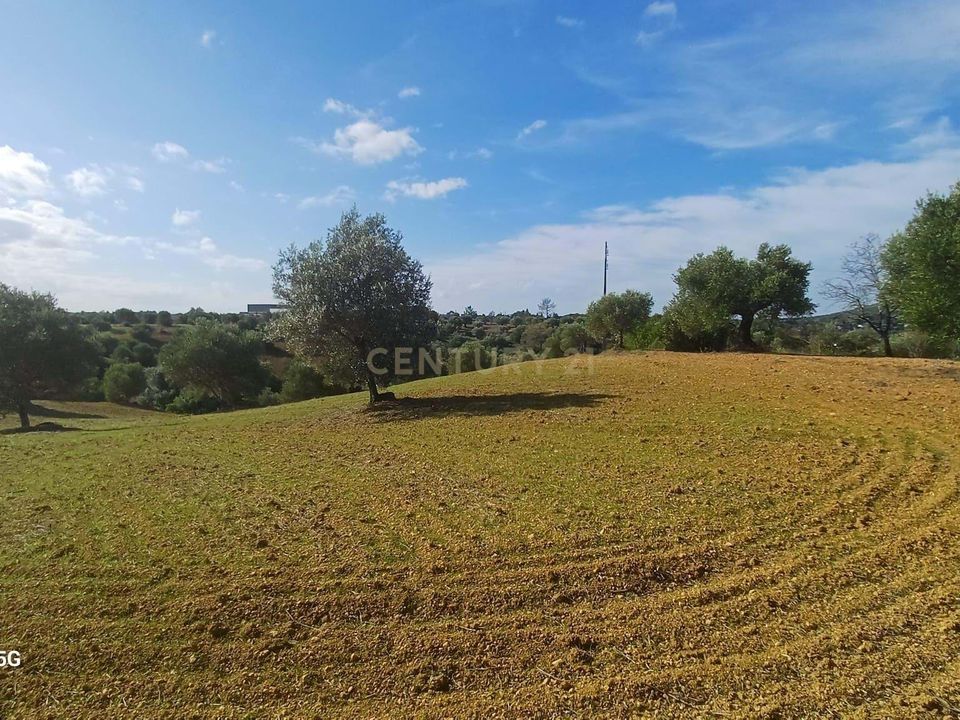 Helårsgrund i Torres Novas, Santarem - foto 1