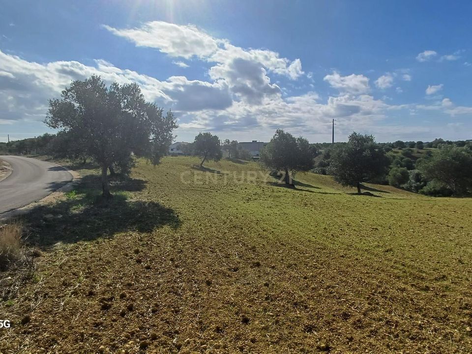 Helårsgrund i Torres Novas, Santarem - foto 3