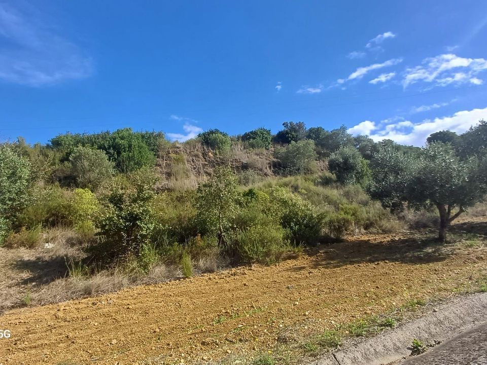 Helårsgrund i Torres Novas, Santarem - foto 5