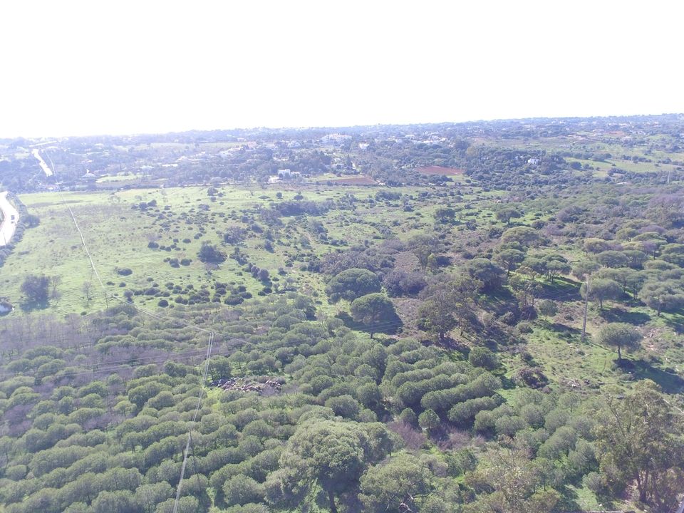 Farm hus i Lagoa, Faro - foto 2