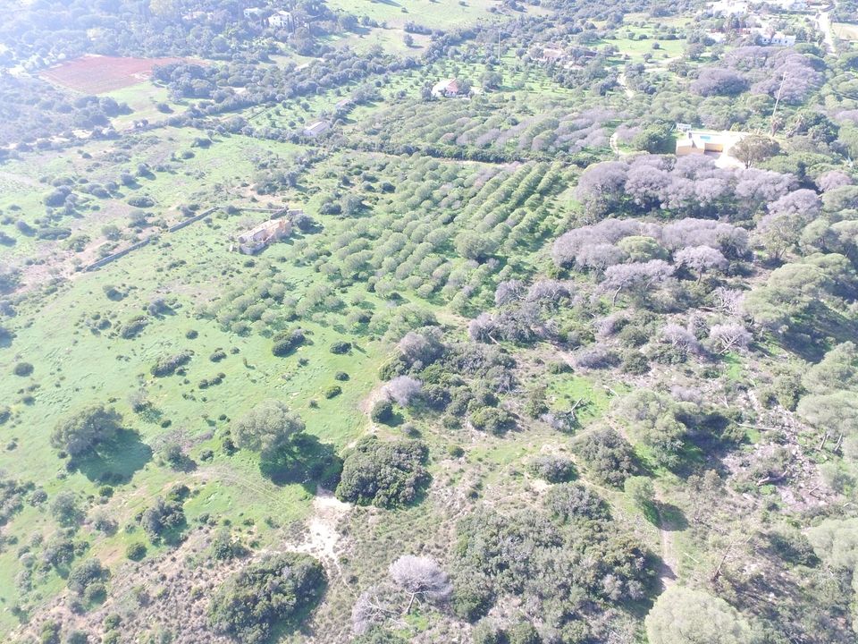 Farm hus i Lagoa, Faro - foto 3