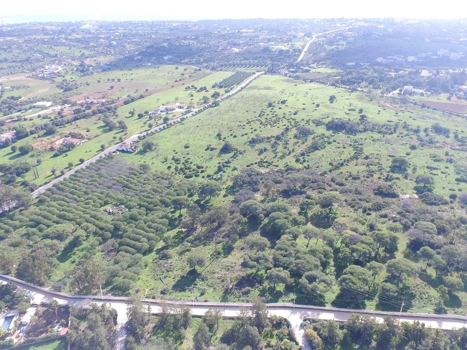 Farm hus i Lagoa, Faro - foto 4