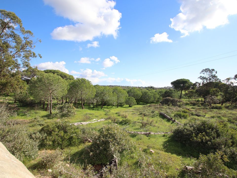 Farm hus i Lagoa, Faro - foto 5