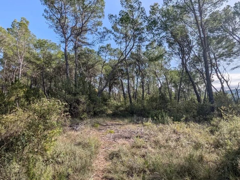 Helårsgrund i Villecroze, Var - foto 1