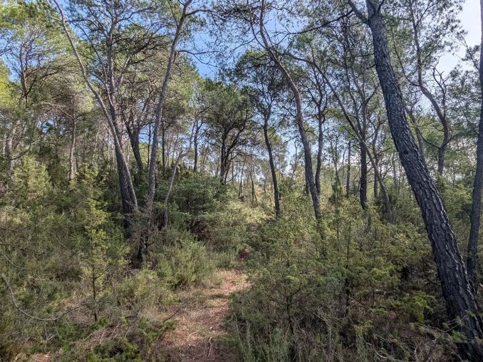 Helårsgrund i Villecroze, Var - foto 4