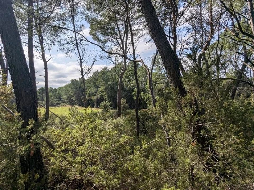 Helårsgrund i Villecroze, Var - foto 2