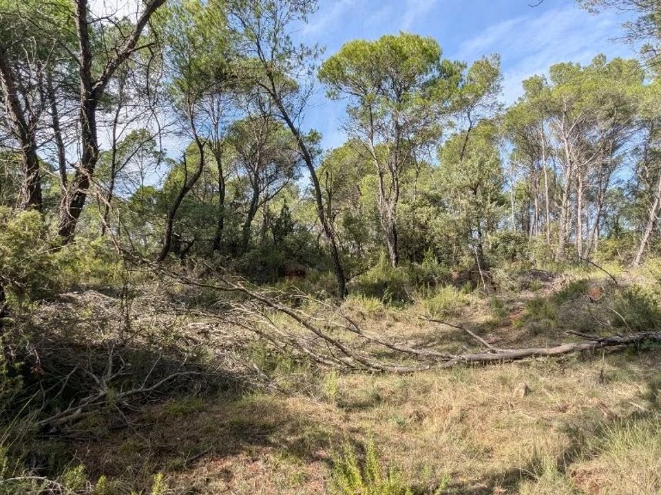Helårsgrund i Villecroze, Var - foto 3