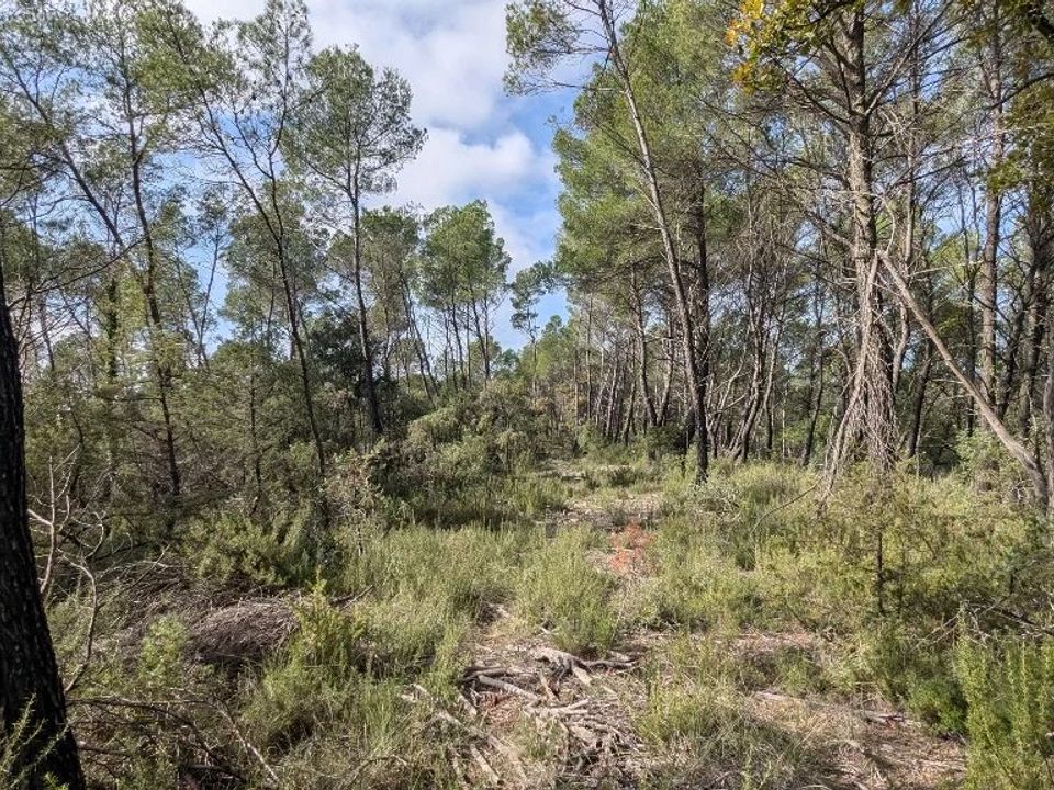 Helårsgrund i Villecroze, Var - foto 5