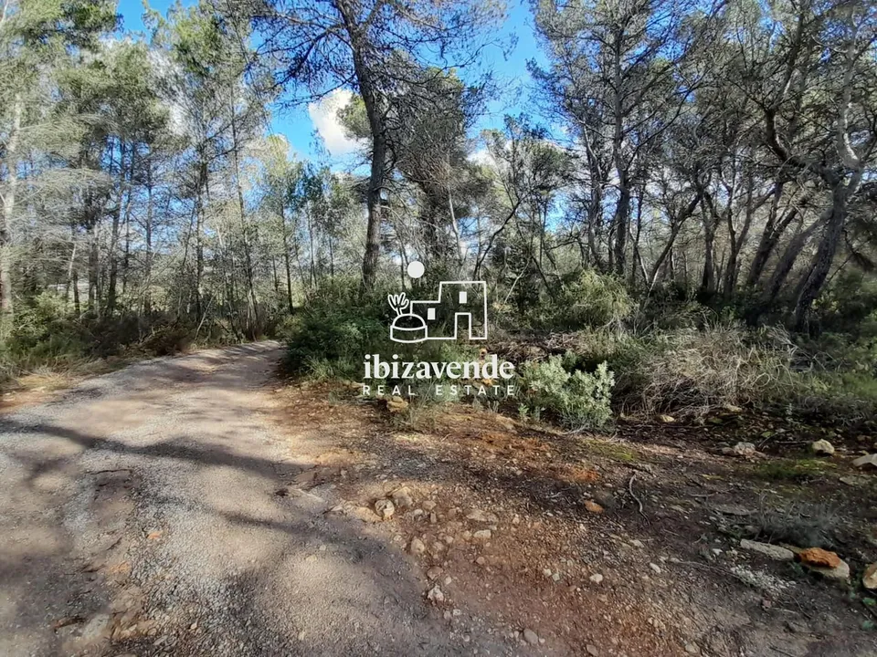 Finca i Sant Joan de Labritja, Ibiza - foto 4