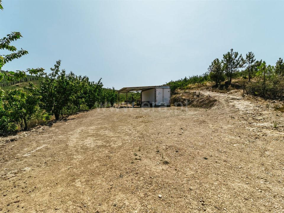 Farm i Fundao, Castelo Branco - foto 2