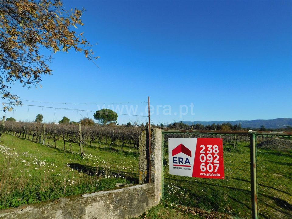 Tomt i Seia, Guarda - bilde 2