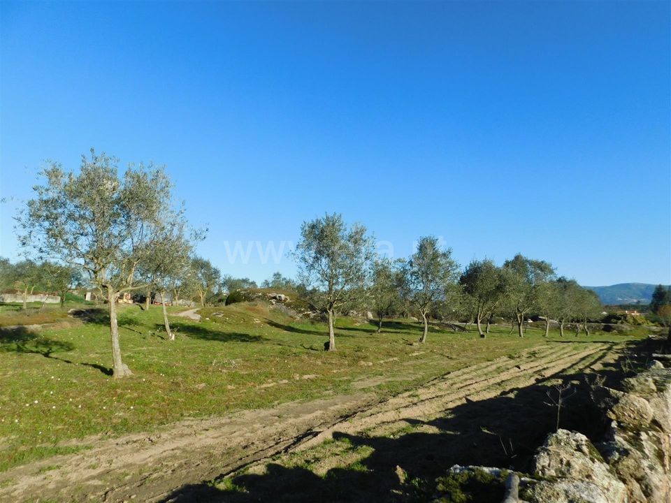 Tomt i Seia, Guarda - bilde 4