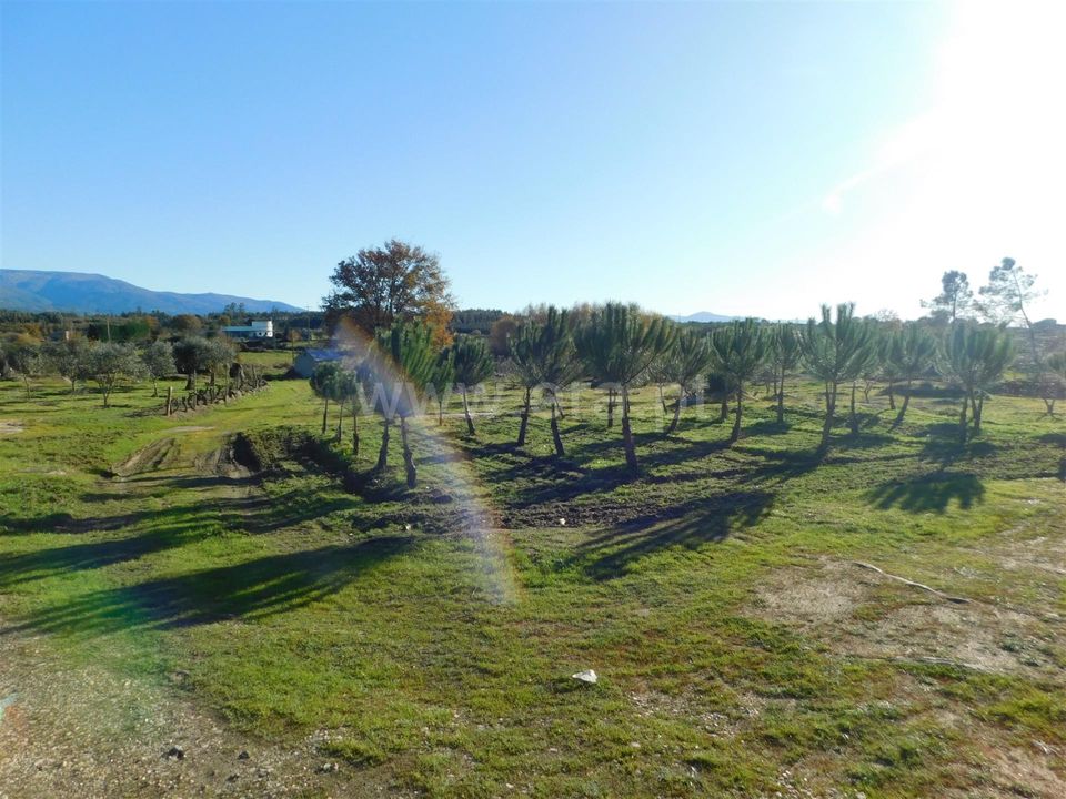 Tomt i Seia, Guarda - bilde 5