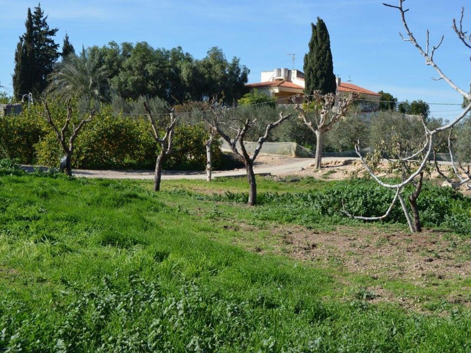 Landejendom i Valladolises, Murcia - foto 3