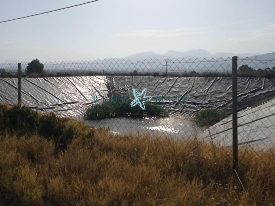 Terra a Mutxamel, Alicante - foto 2