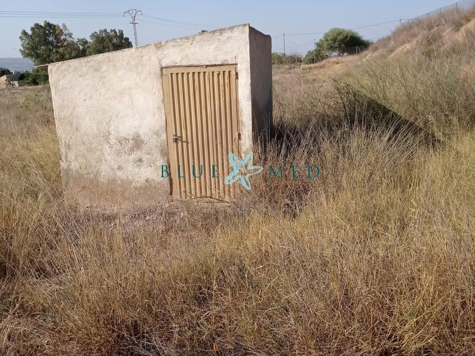 Terra a Mutxamel, Alicante - foto 3