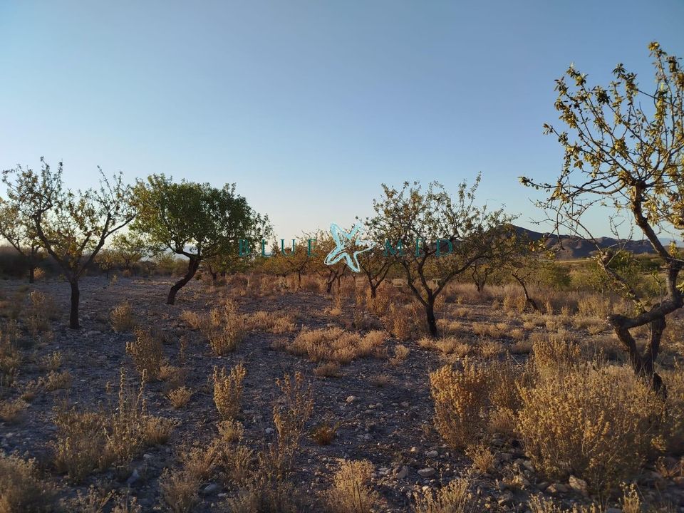 Helårsgrund i Cuesta Blanca, Murcia - foto 1