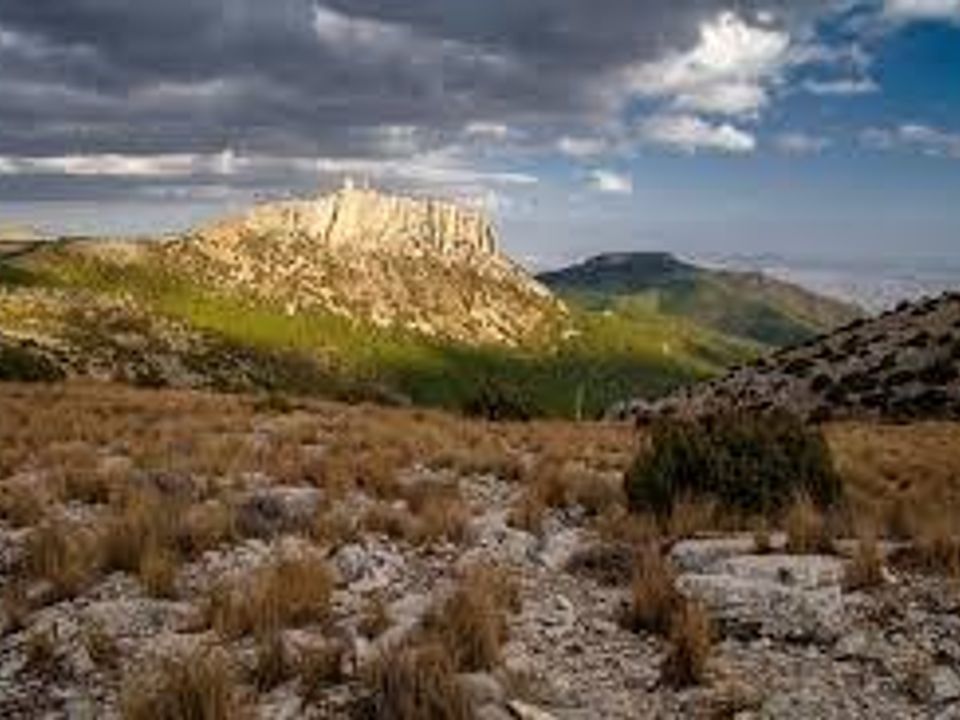 Helårsgrund i Aledo, Murcia - foto 4