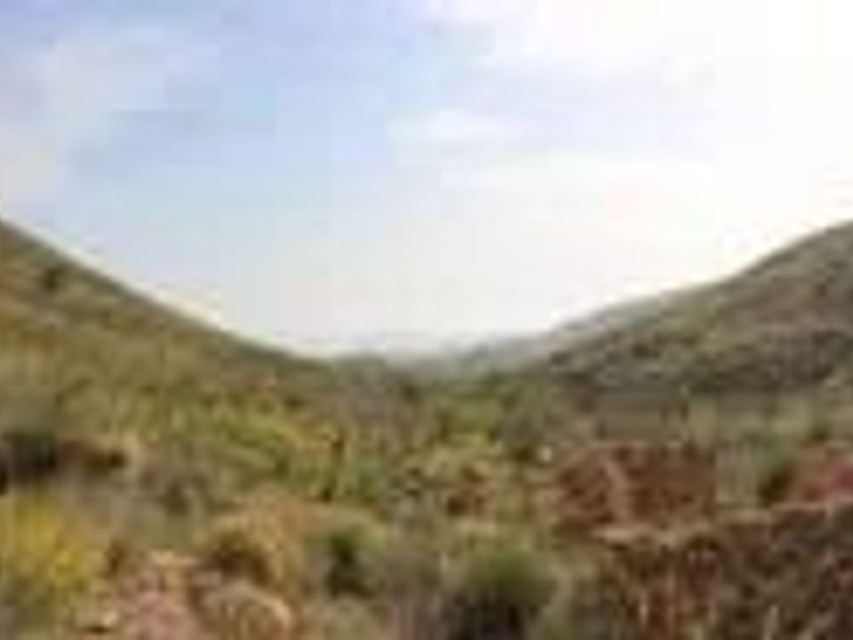 Helårsgrund i Cartagena, Murcia - foto 4