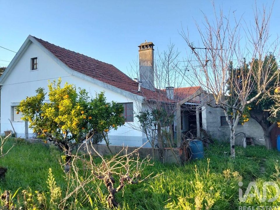 Byhus i Ferreira do Zezere, Santarem - foto 2