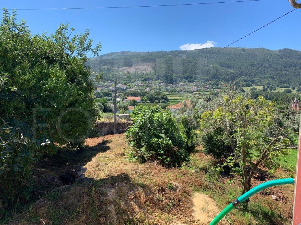 Farm i Viana do Castelo, Viana do Castelo - foto 3