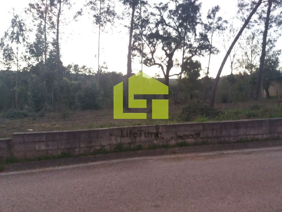 Helårsgrund i Miranda do Corvo, Coimbra - foto 4