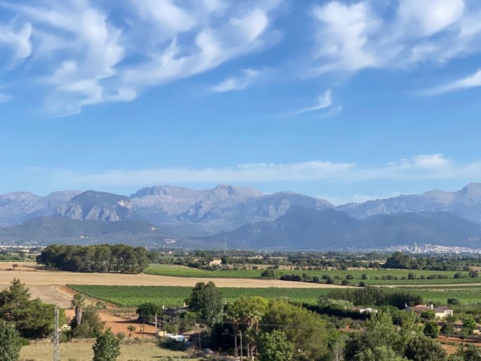 Villa i Sencelles, Mallorca - foto 4