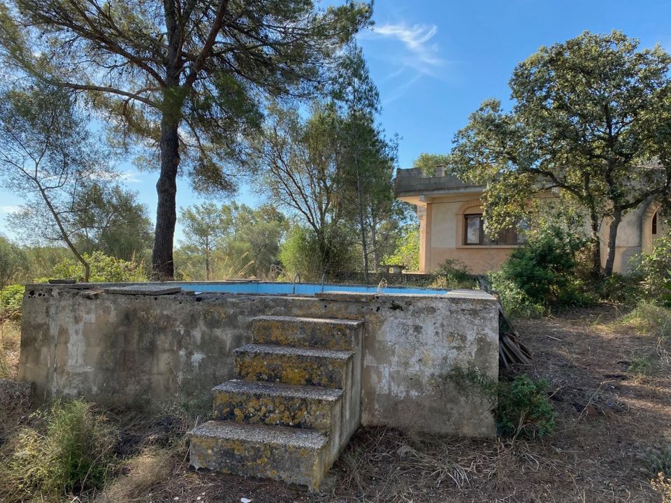 Villa i Sencelles, Mallorca - foto 5