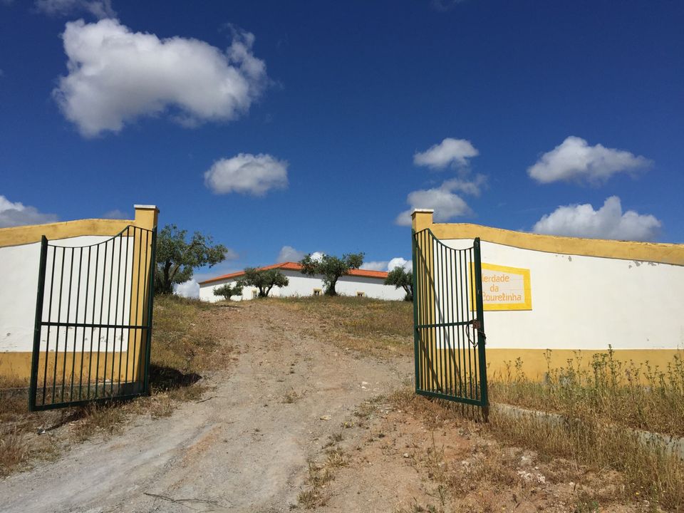 Farm i Moura, Beja - foto 1
