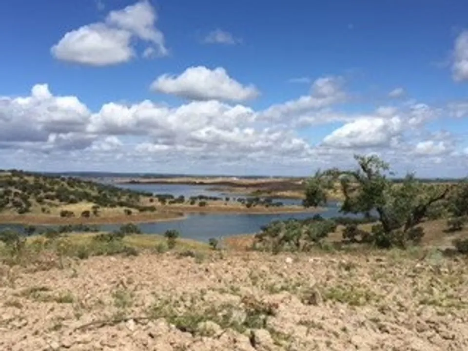 Farm i Moura, Beja - foto 4